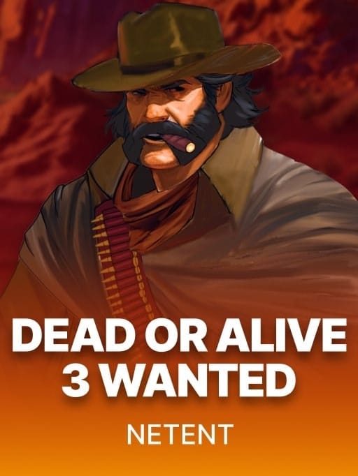 Dead or Alive 3, Wanted game screenshot